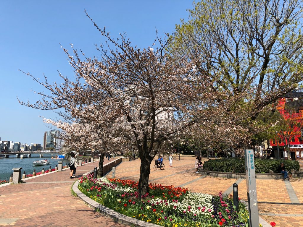 Seiryu Park in Nakasu, Fukuoka