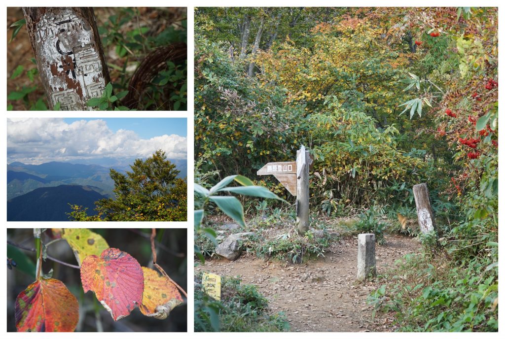 Arashima rhododendron plateau