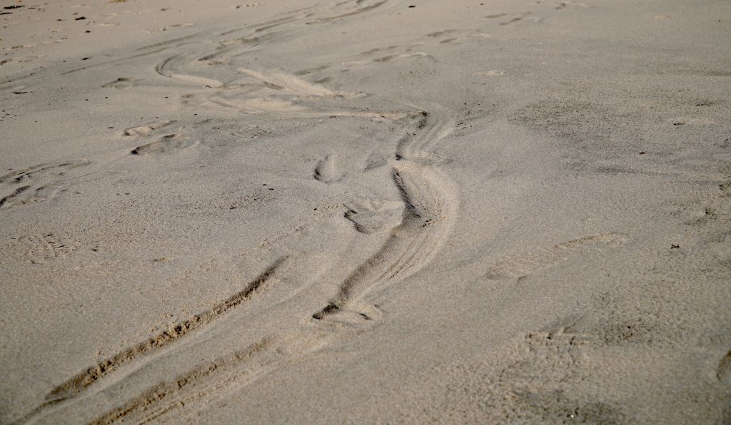 Singing sand at Kotogahama Beach, Noto Peninsula