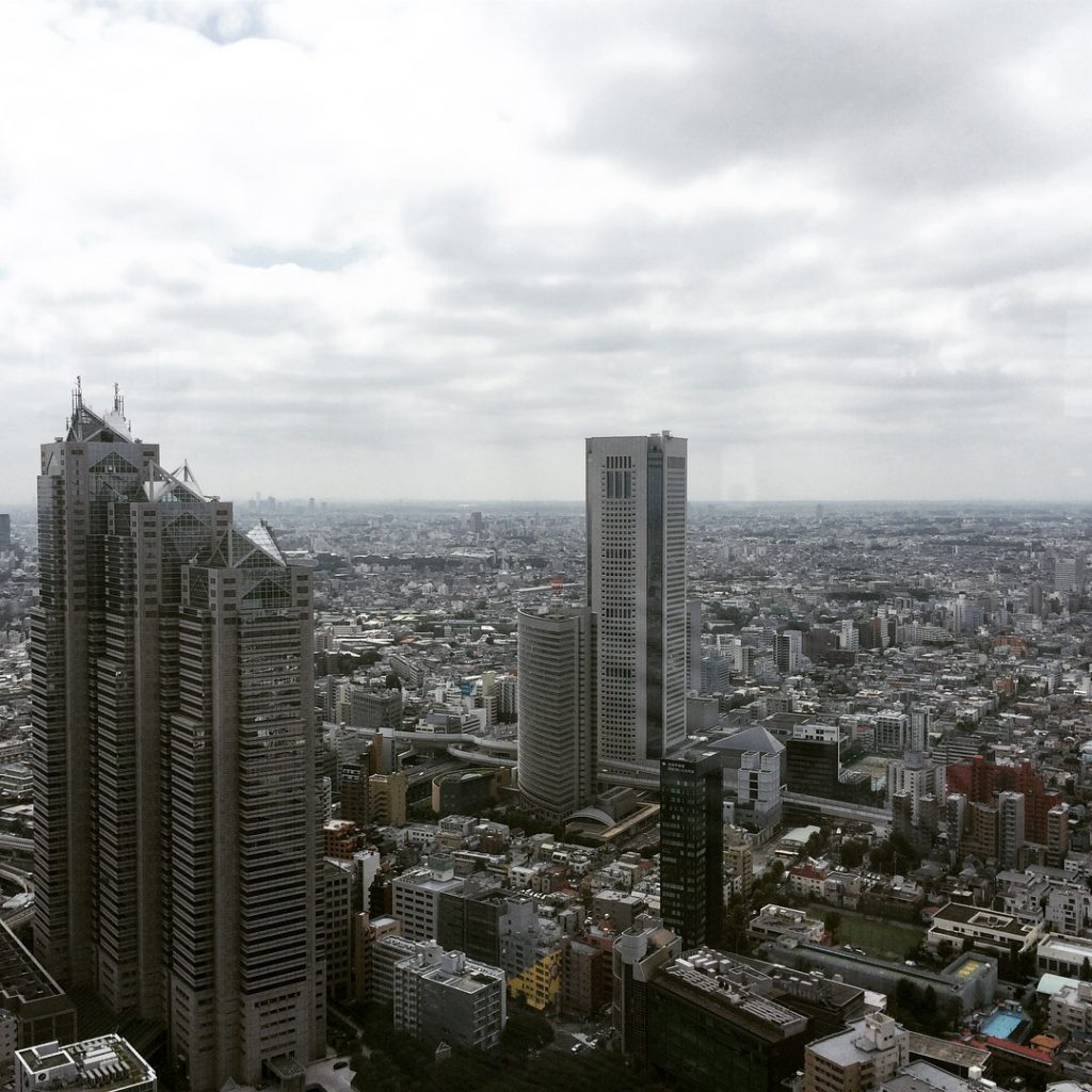 View from Tokyo Metropolitan Government Building