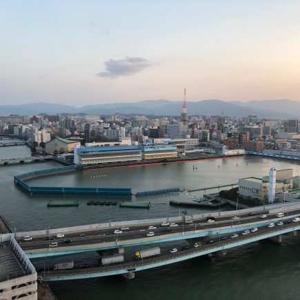 View from Hakata Port Tower
