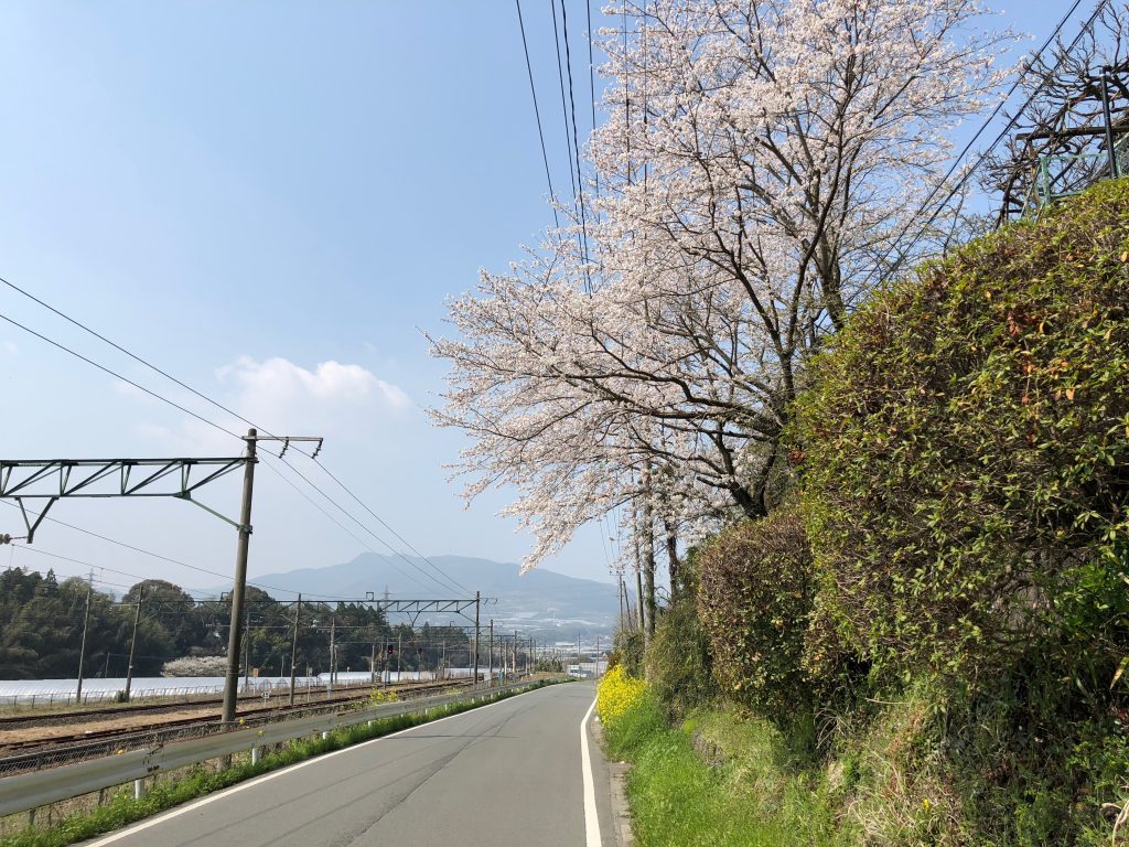 On the road from Ueki Station