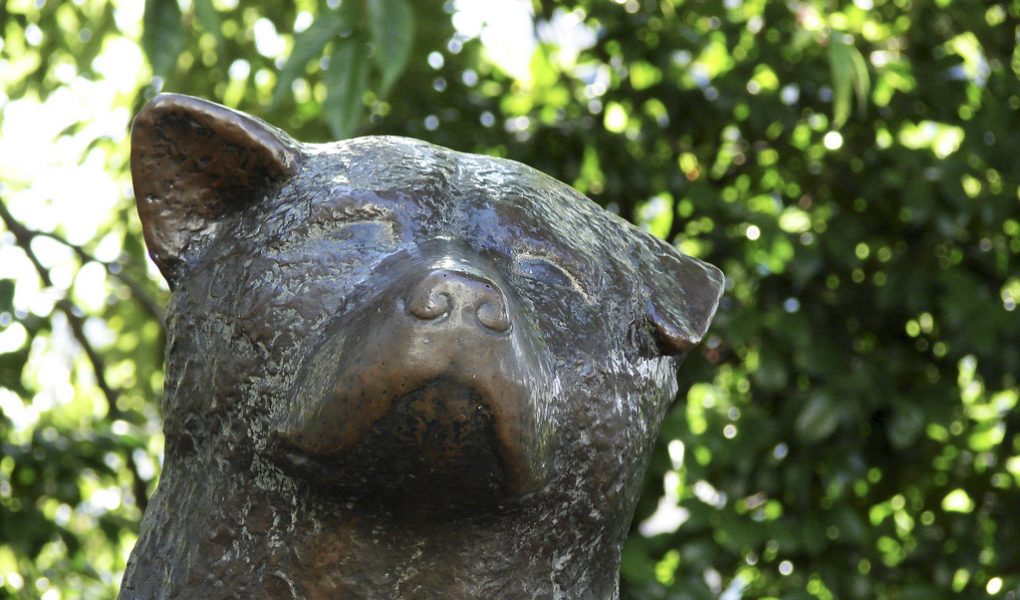 Hachiko Statue, Shibuya