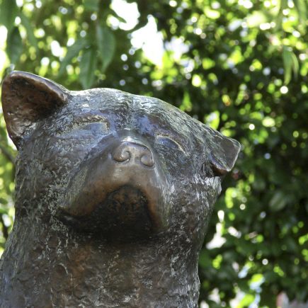 Hachiko Statue, Shibuya