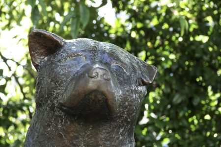 Hachiko Statue, Shibuya