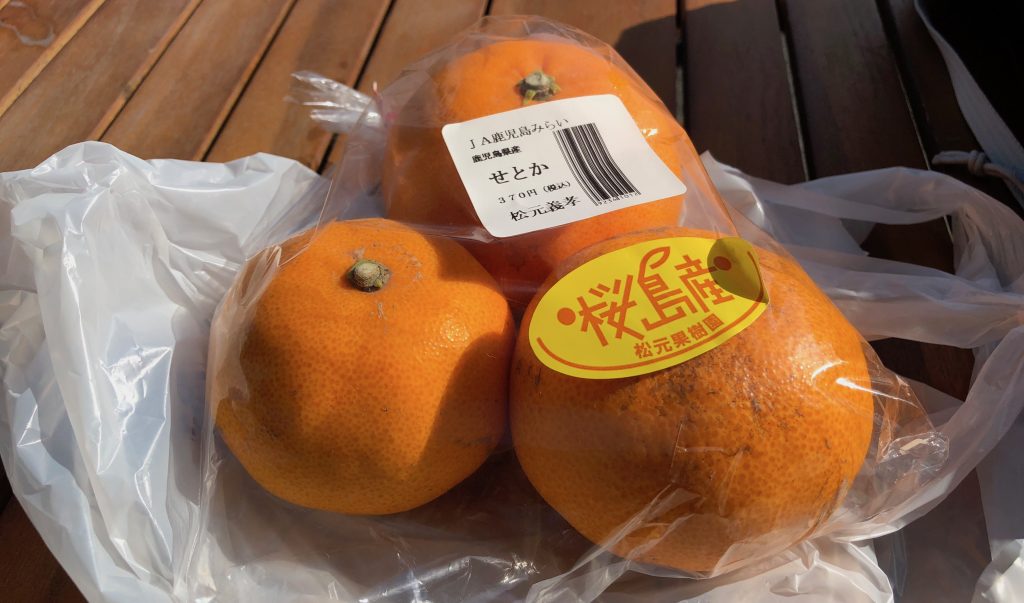 Sakurajima Mandarin