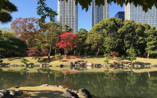 Hamarikyu Gardens