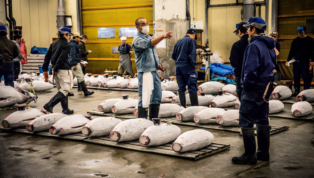 Tuna auction at Tsukiji Fish Market
