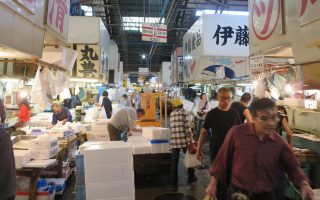 Tsukiji Fishmarket