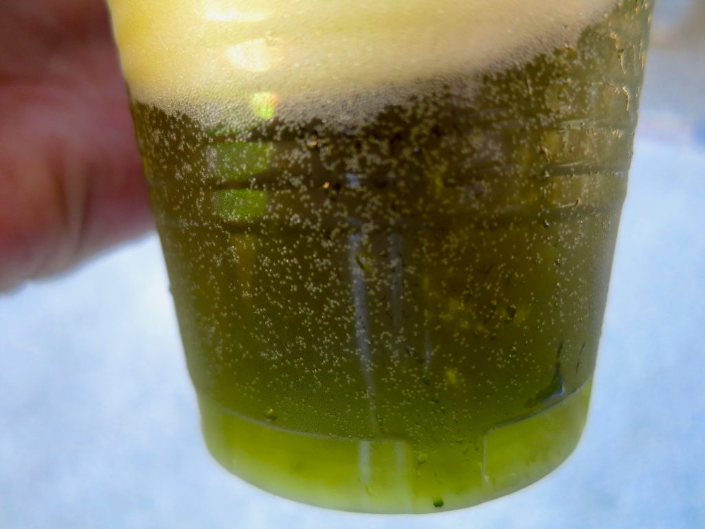 Wasabi Beer at Daio Wasabi Farm