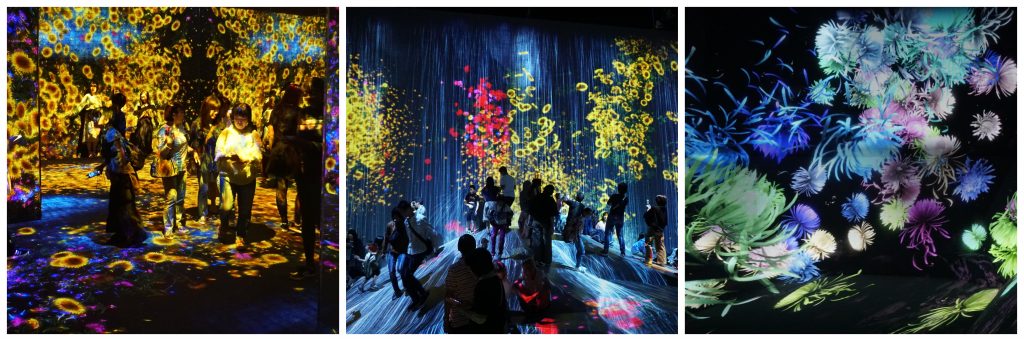 TeamLab Borderless Tokyo