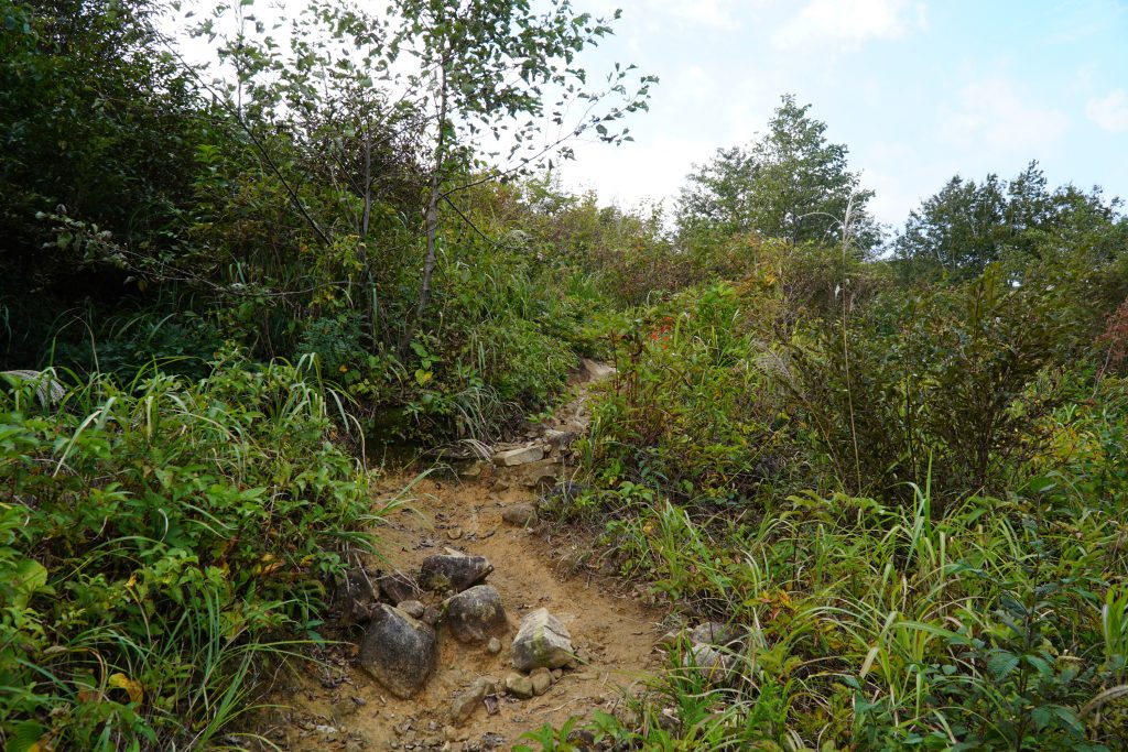 Mt Arashima Hiking Path