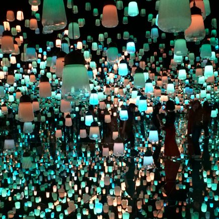 Teamlab Borderless Digital Art Exhibition