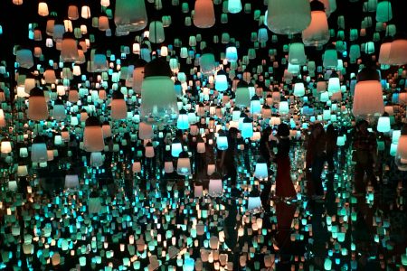 Teamlab Borderless Digital Art Exhibition