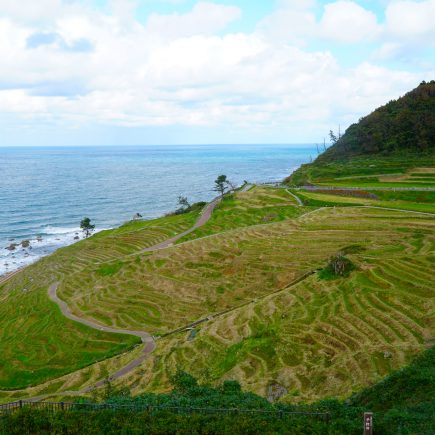 Shiroyone Senmaida (noto peninsula)