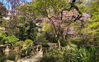 Rakusuien Garden, Fukuoka