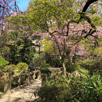 Rakusuien Garden, Fukuoka