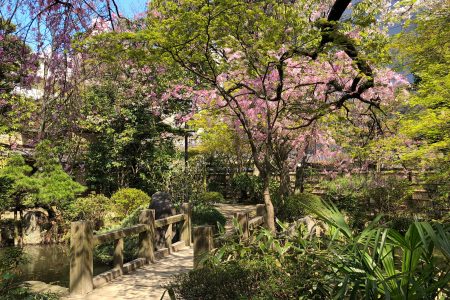 Rakusuien Garden, Fukuoka