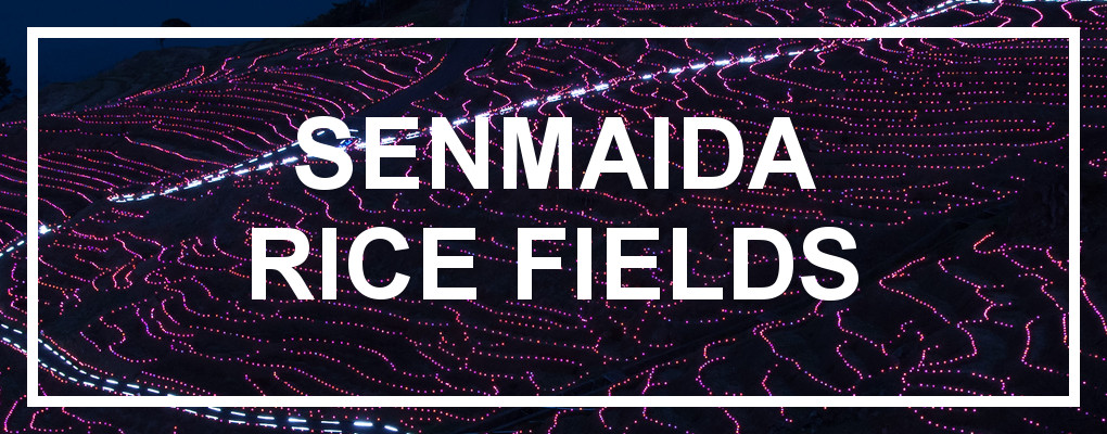 Senmaida 1000 Rice Fields, Noto Peninsula
