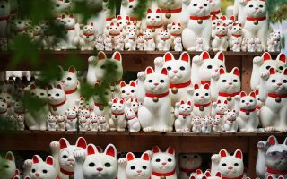 Maneki-neko beckoning cats at Gotoku-ji temple