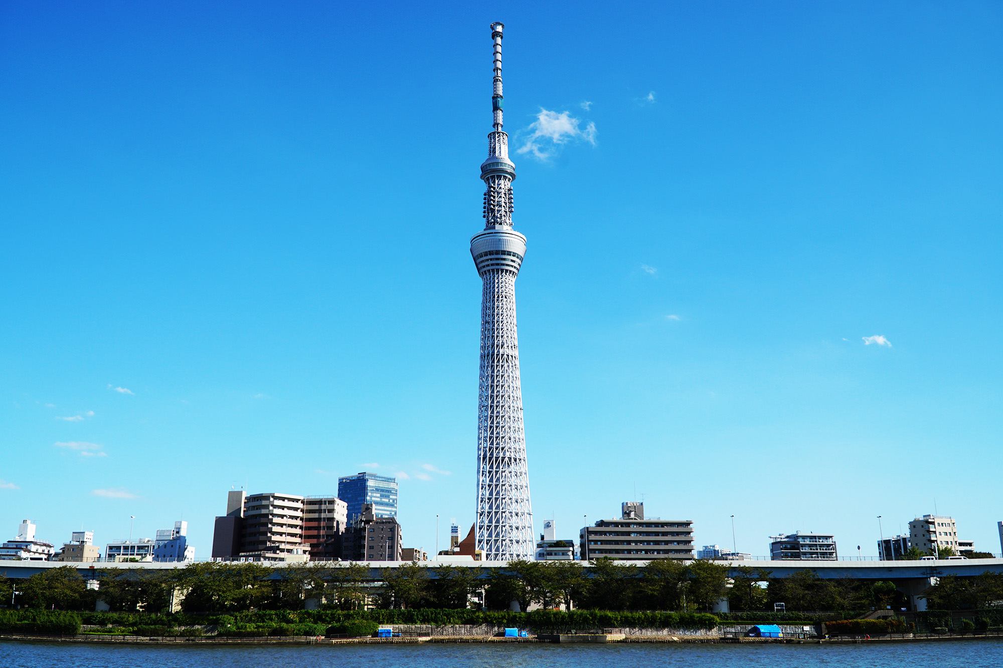 View of Tokyo Skytree from Sumida Park, Asakusa, Tokyo