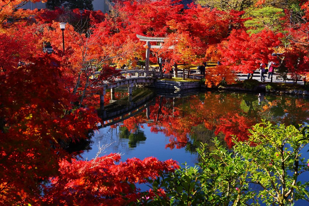 Fall colors at Eikando. Credit: My Discovery. Licensed under CC-BY 2.0.