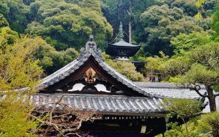 Eikando temple and pagoda. Credit: Zairon. Licensed under CC-SA 4.0.