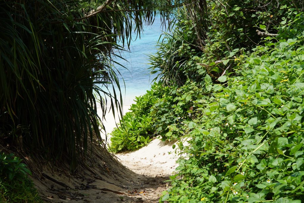 Kurima beach. Photo © touristinjapan.com.