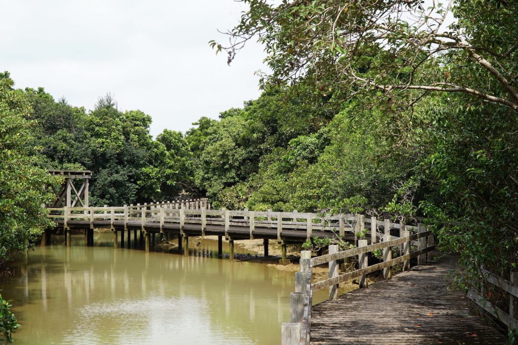 Upuka Utaki Mangrove, Miyakojima. © touristinjapan.com