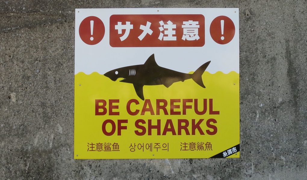 Shark warning on Okinawa beach. Photo © touristinjapan.com