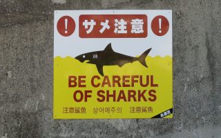 Shark warning on Okinawa beach. Photo © touristinjapan.com