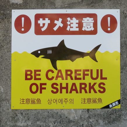 Shark warning on Okinawa beach. Photo © touristinjapan.com