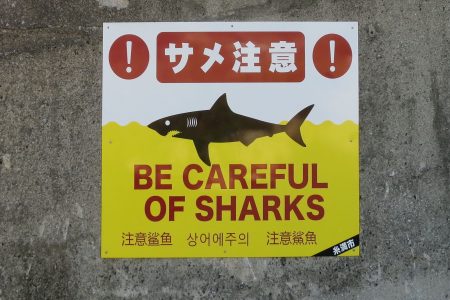 Shark warning on Okinawa beach. Photo © touristinjapan.com