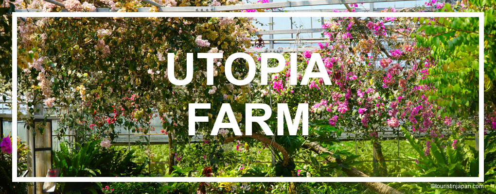 Miyakojima Utopia Farm. © touristinjapan.com
