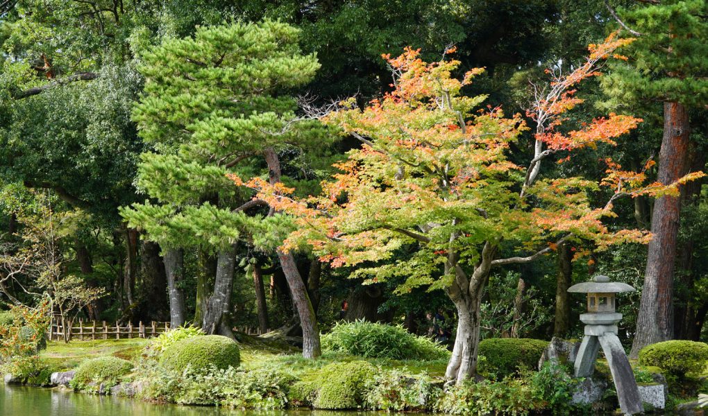 Kenroku-en Garden, Kanazawa. © touristinajapan.com