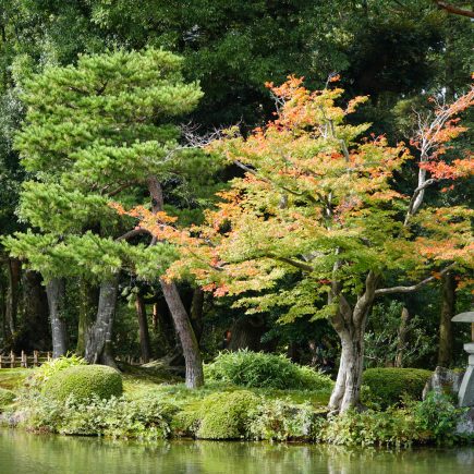 Kenroku-en Garden, Kanazawa. © touristinajapan.com