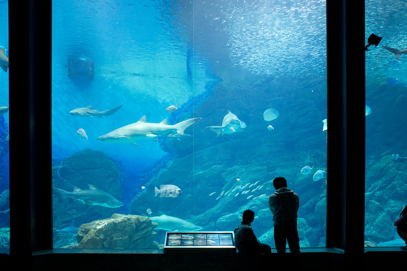 Umi no Nakamichi Marine World. Photo by Takashi Yamaoku. CC BY-SA 2.0.