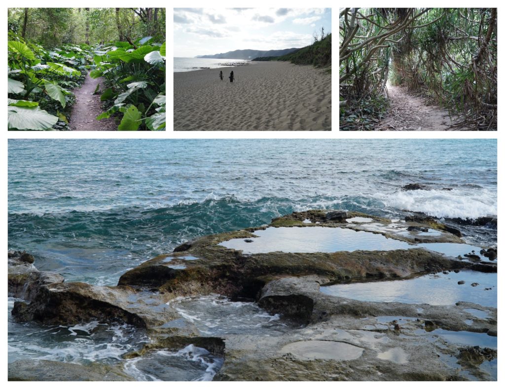 Heart Rock, Amami Oshima. © touristinjapan.com