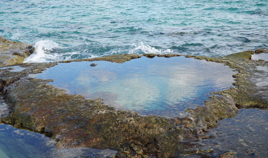 Heart Rock, Amami Oshima. © touristinjapan.com