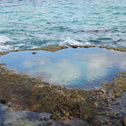 Heart Rock, Amami Oshima. © touristinjapan.com