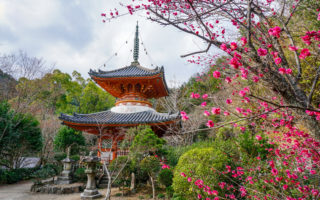 Mitakidera, Hiroshima. © touristinjapan.com