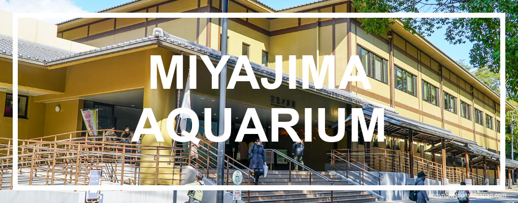 Miyajima Public Aquarium. © touristinjapan.com 