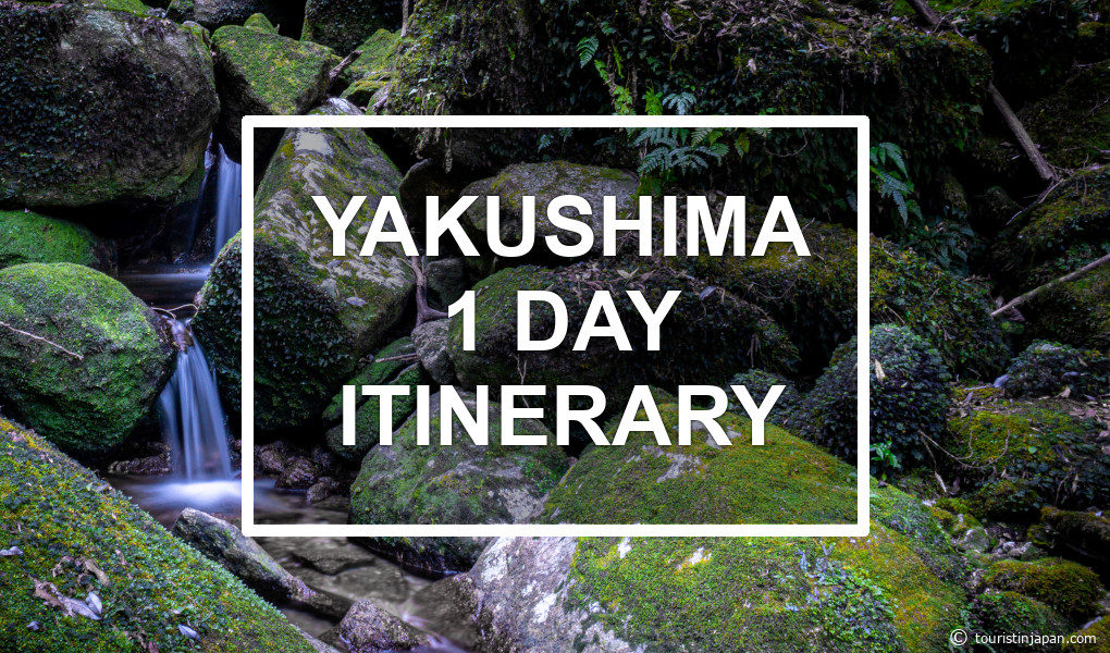 Yakushima 1-day itinerary. © touristinjapan.com