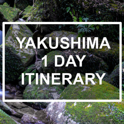 Yakushima 1-day itinerary. © touristinjapan.com