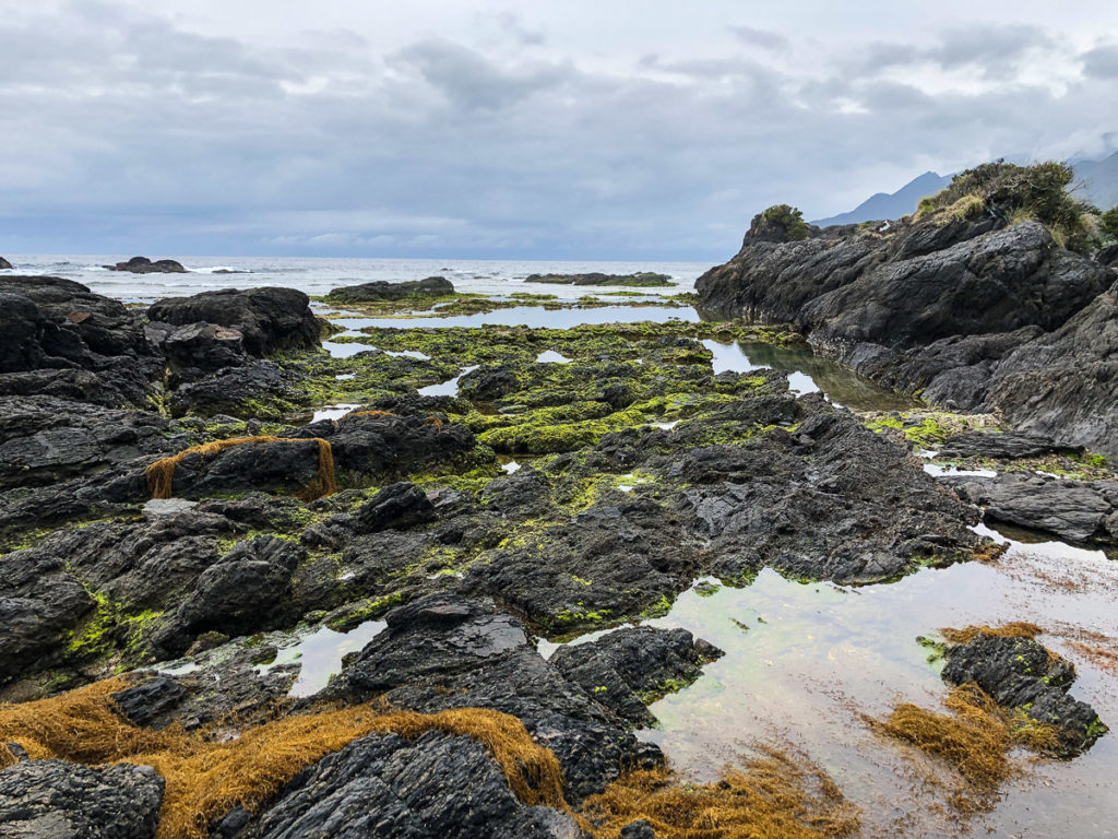 Kurio Coast Marine Park, Yakushima. © touristinjapan.com