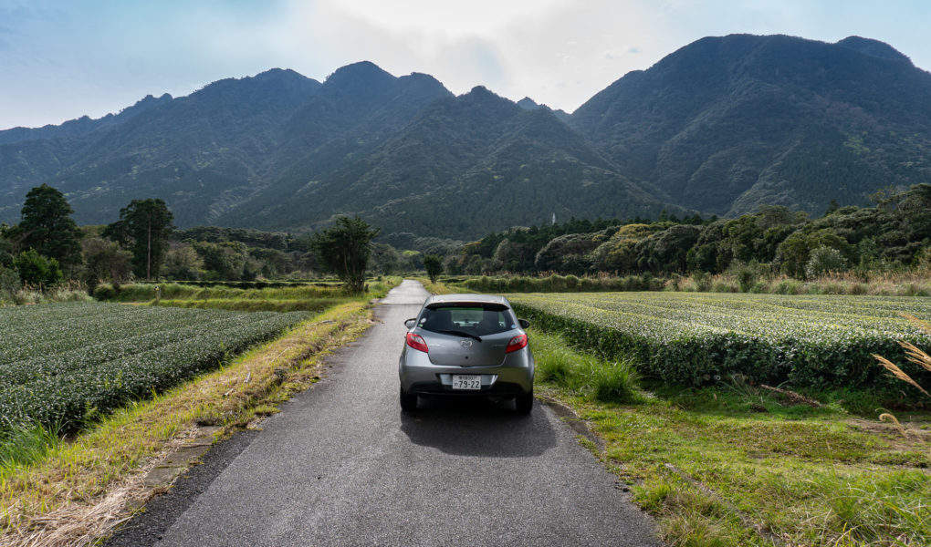 Yakushima Road Trip. © touristinjapan.com