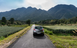 Yakushima Road Trip. © touristinjapan.com