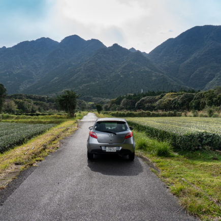 Yakushima Road Trip. © touristinjapan.com