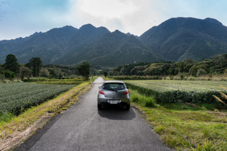 Yakushima Road Trip. © touristinjapan.com