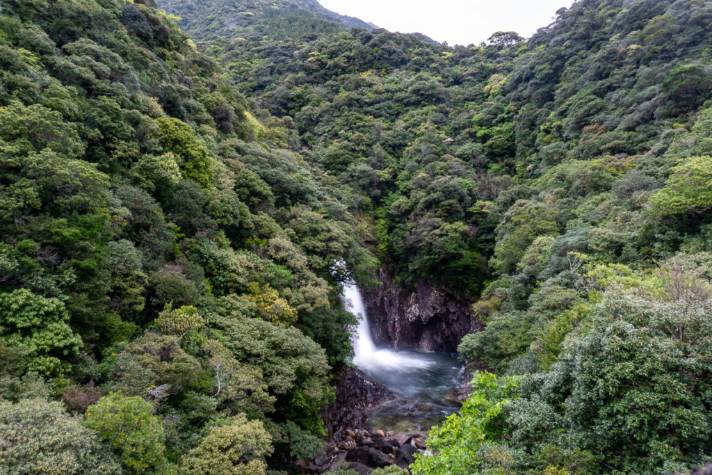 Ryujin-no-taki waterfall, Yakushima. © touristinjapan.com